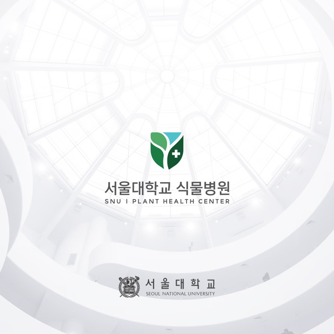포트폴리오-' 서울대학교 식물병원 '의 로고 디자인입니다.