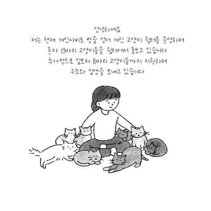 포트폴리오-반려동물 매거진 '나비' 인스타툰