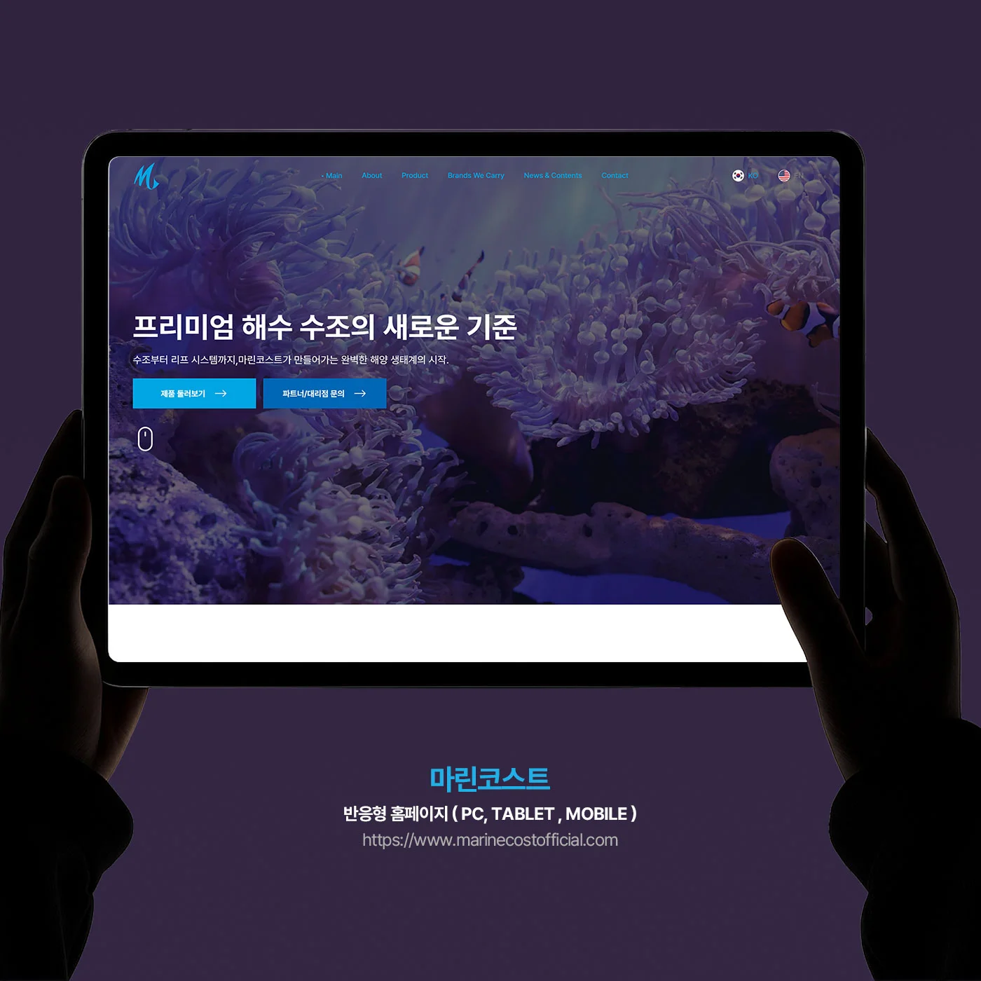 디자인 포트폴리오