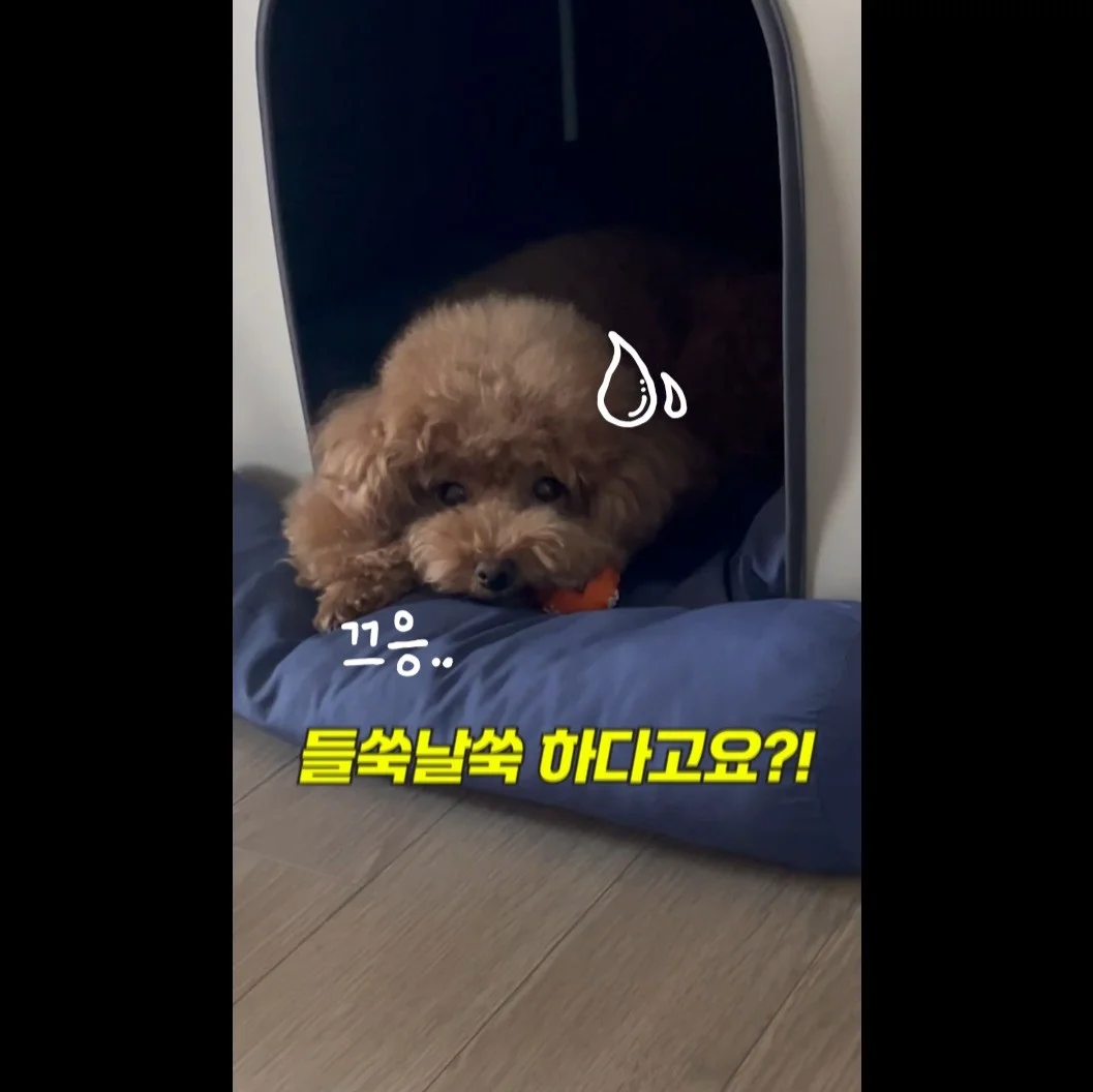 포트폴리오 메인이미지