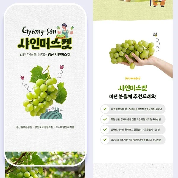 포트폴리오 메인이미지