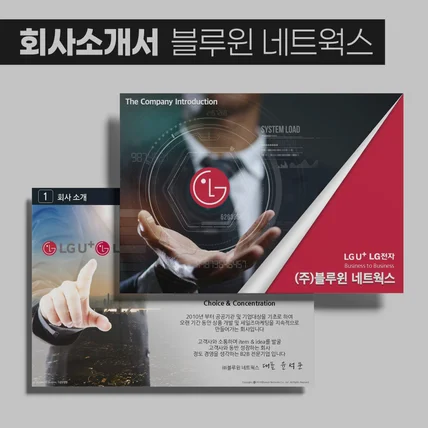 포트폴리오-[회사소개서] 블루윈 네트웍스