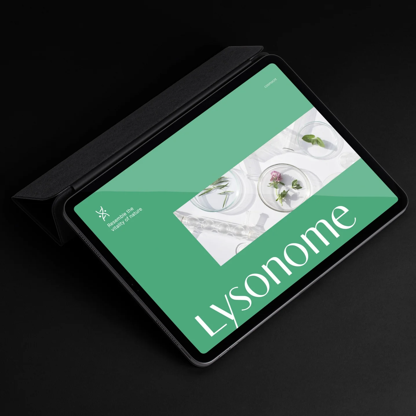 포트폴리오 메인이미지