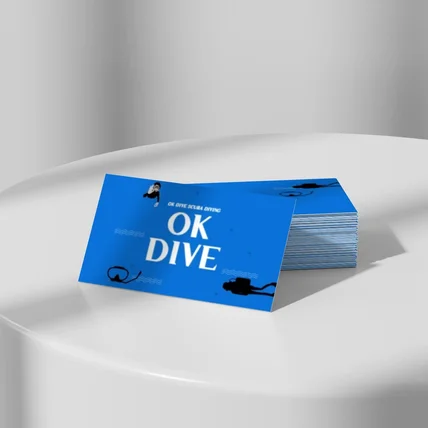 포트폴리오-ok 다이브 명함디자인