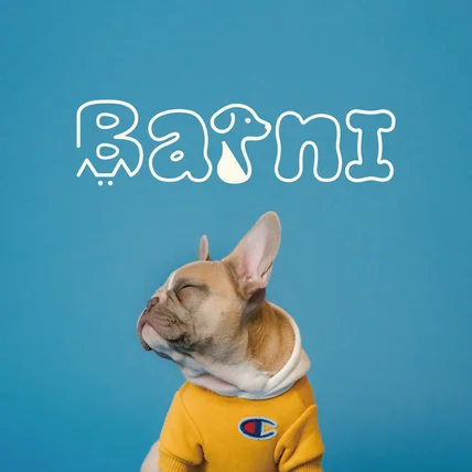 포트폴리오-[Barni] 로고디자인