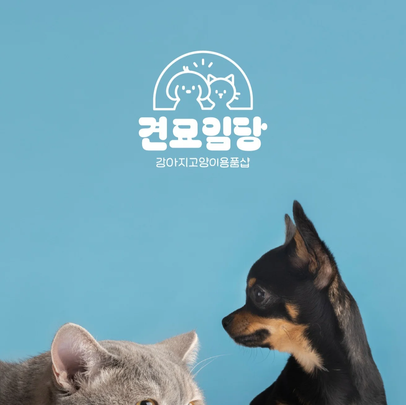 포트폴리오 메인이미지