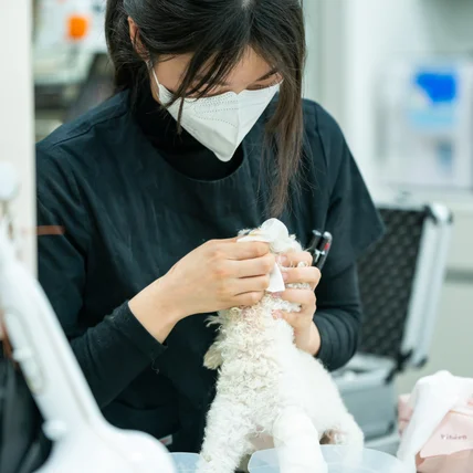 포트폴리오-[촬영/보정] 김해동물메디컬센터 홈페이지 제작을 위한 사진