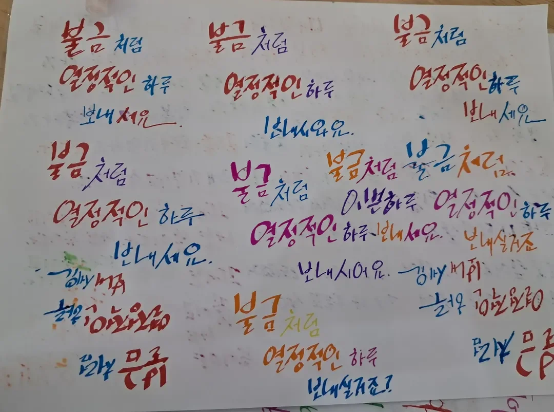 디자인 포트폴리오