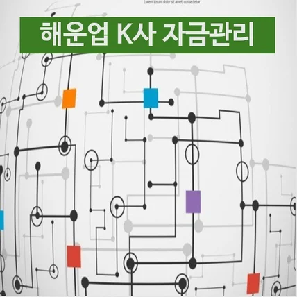 포트폴리오-해운업 K사 자금관리