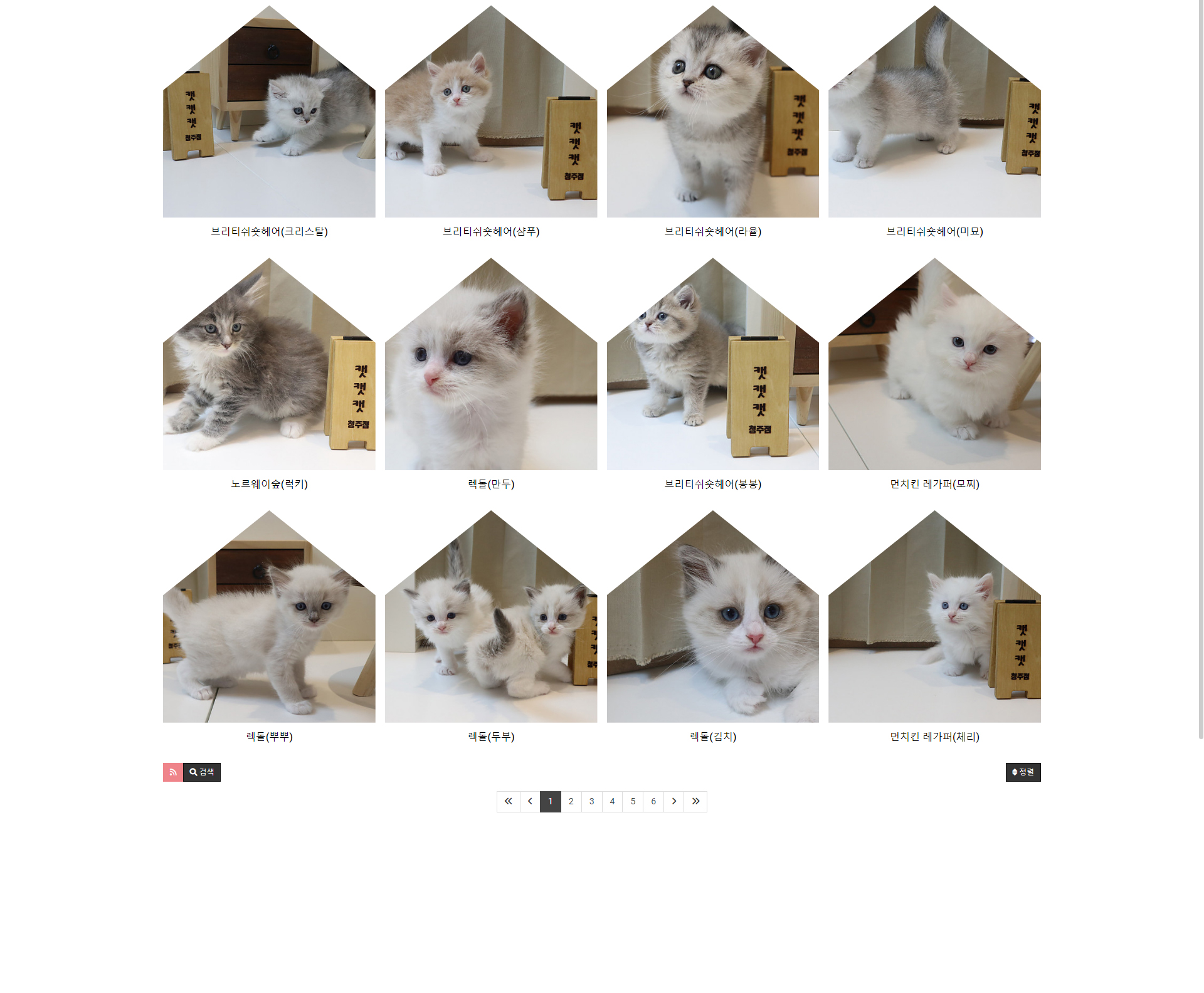 디자인 포트폴리오
