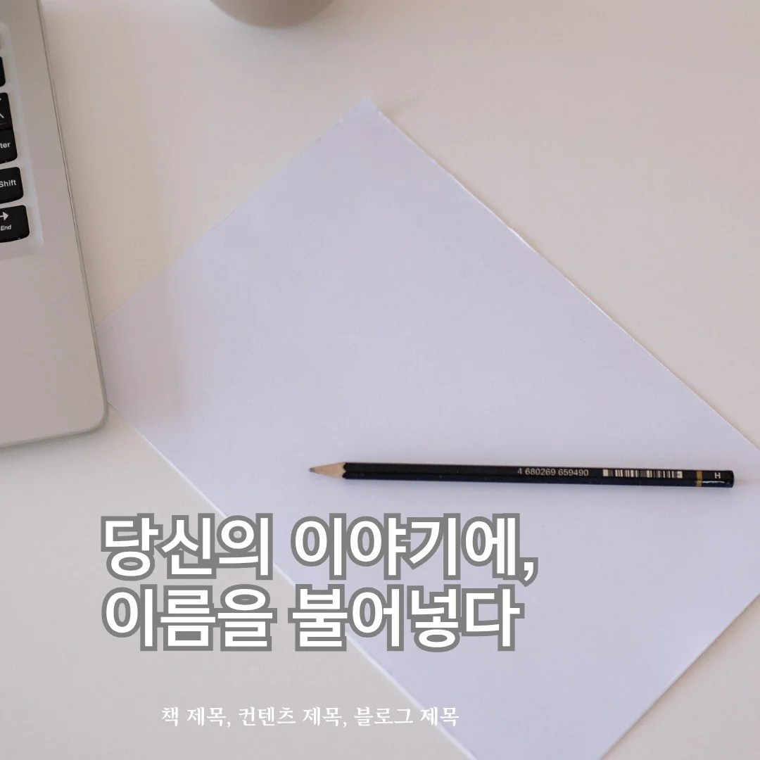 포트폴리오 메인이미지