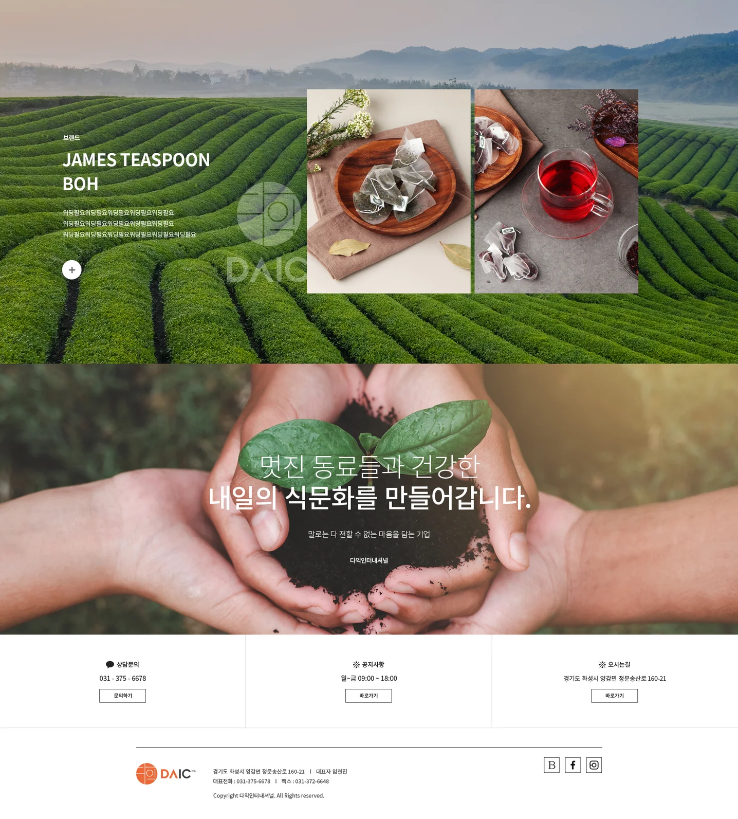 디자인 포트폴리오