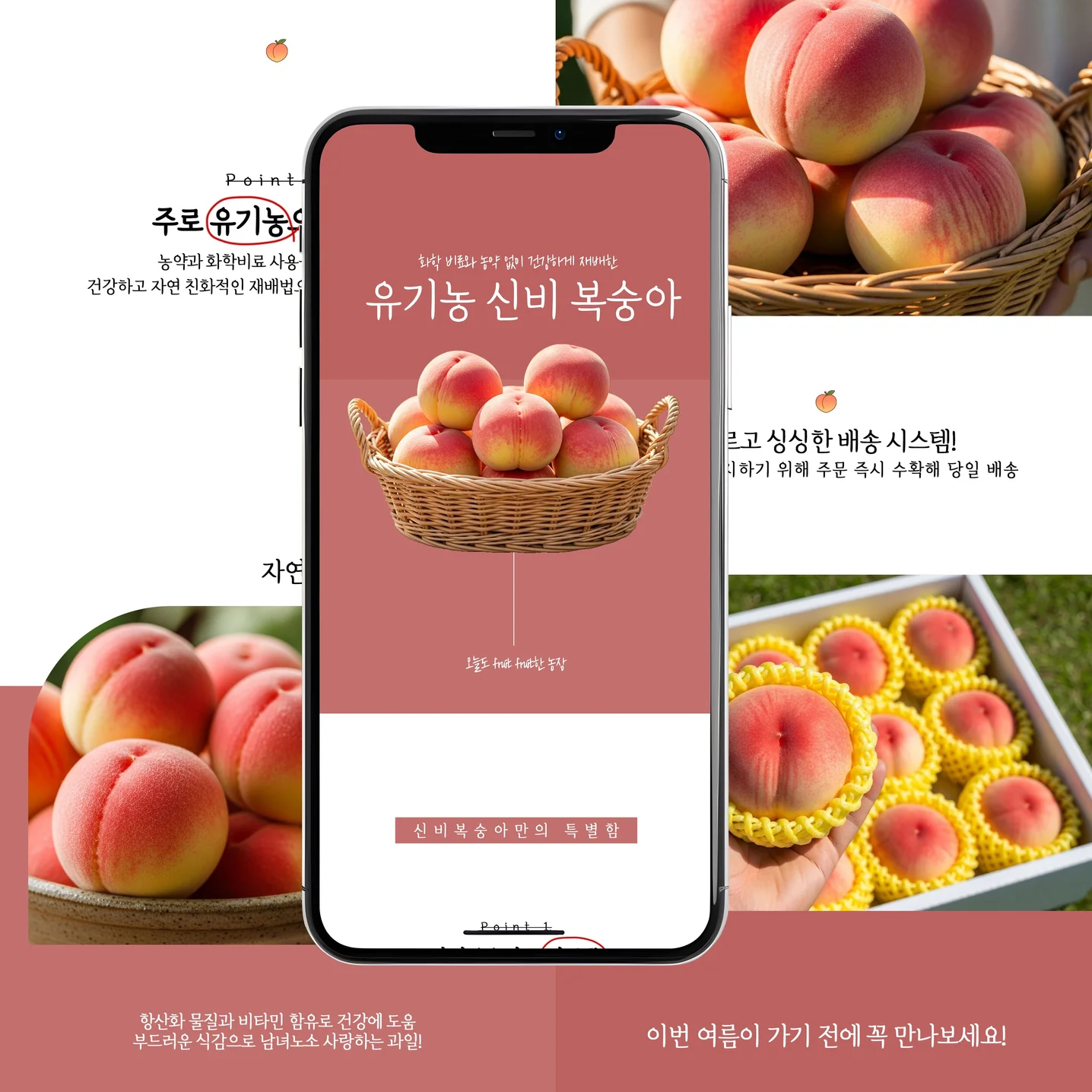 포트폴리오 메인이미지