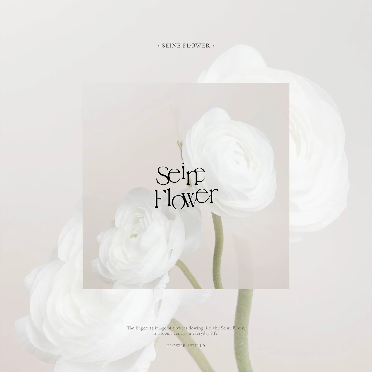 포트폴리오 메인이미지