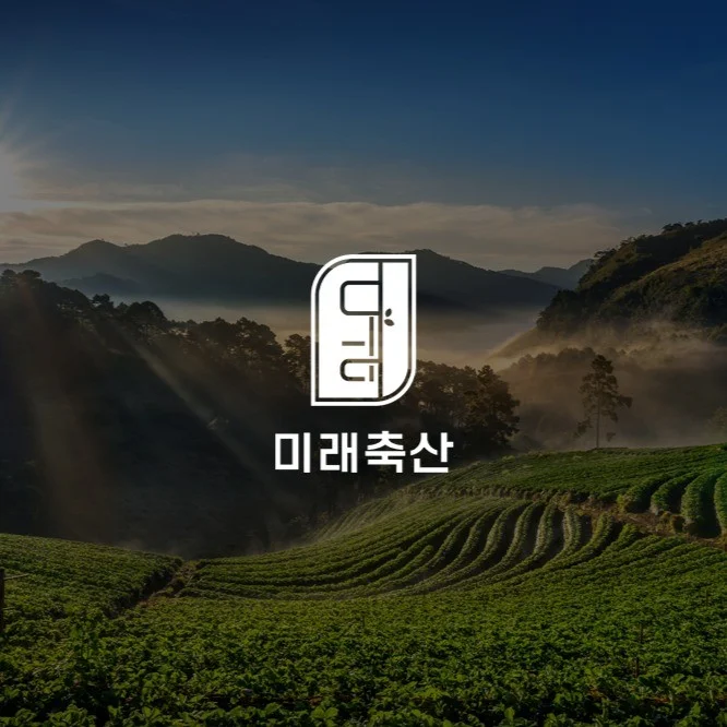 포트폴리오 메인이미지
