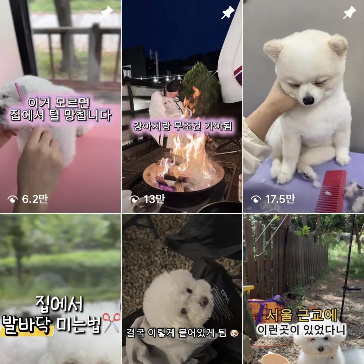 포트폴리오 메인이미지