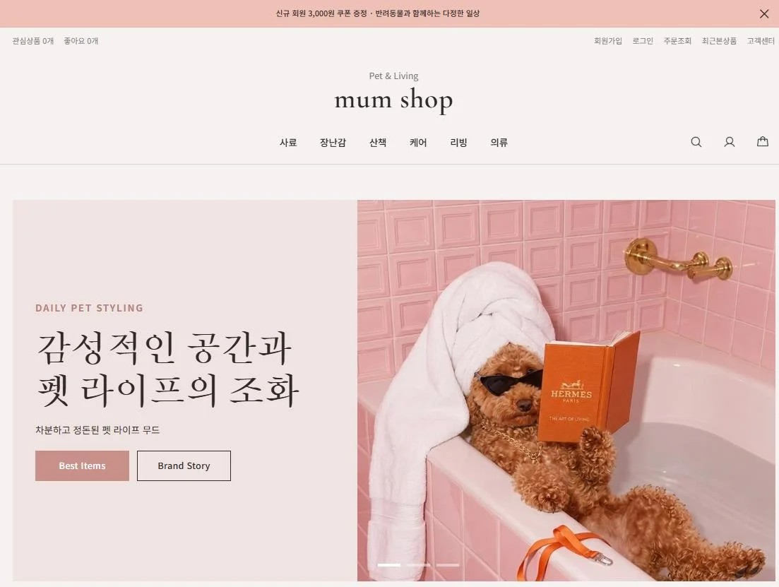 디자인 포트폴리오