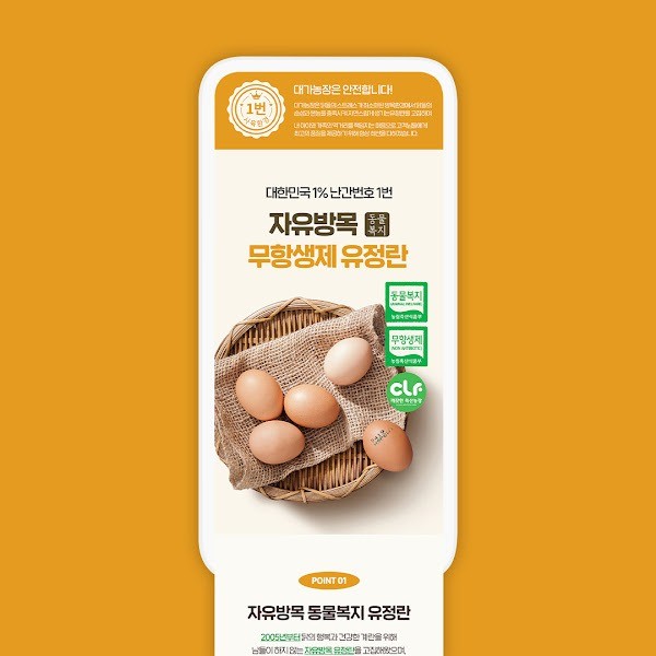 포트폴리오-달걀 상세페이지 (기획+디자인)