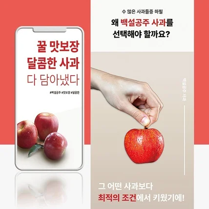 포트폴리오-사과 상세페이지, 사과 상세페이지 제작, 사과 상세페이지 디자인, 사과 상세페이지 기획