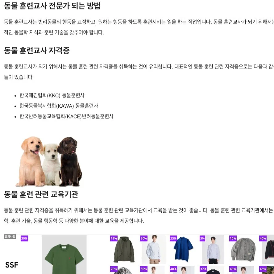 포트폴리오 메인이미지