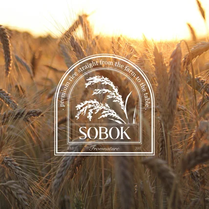 포트폴리오-SOBOK(소복) 소포장 쌀 브랜드 로고 디자인