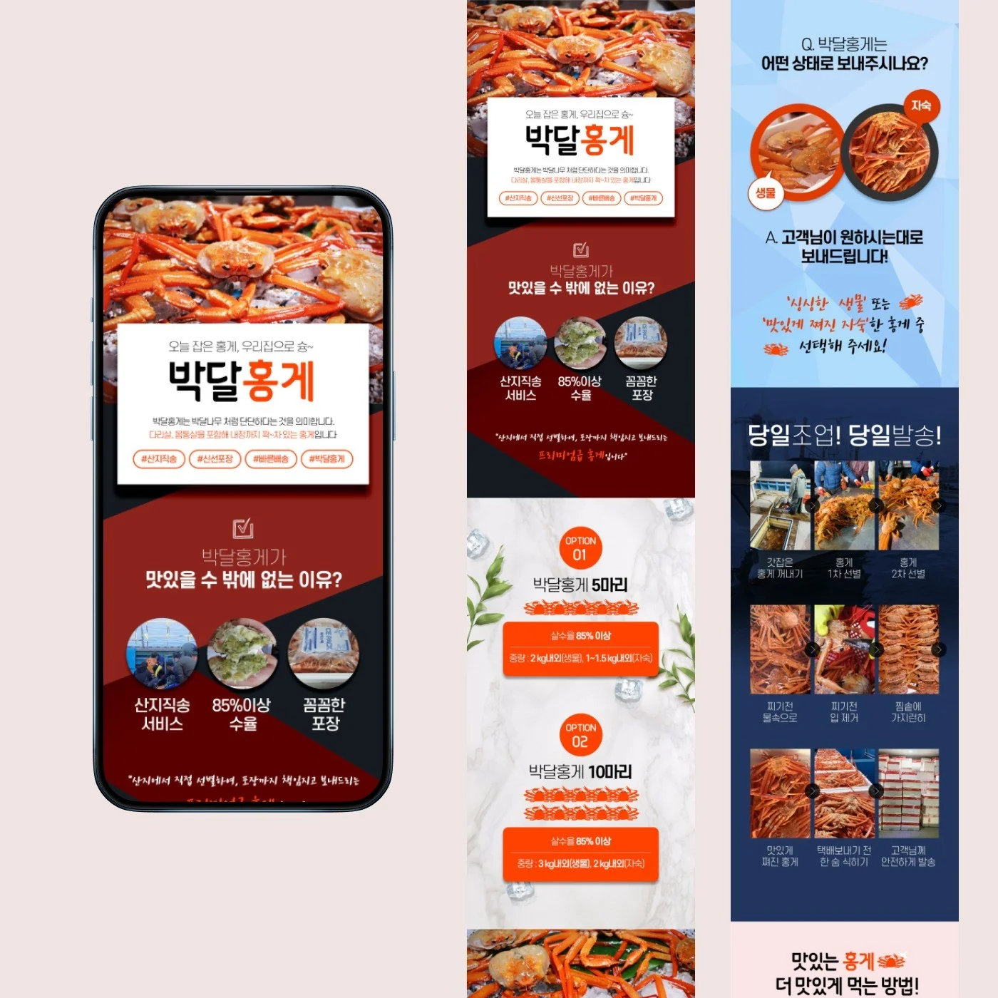 포트폴리오 메인이미지