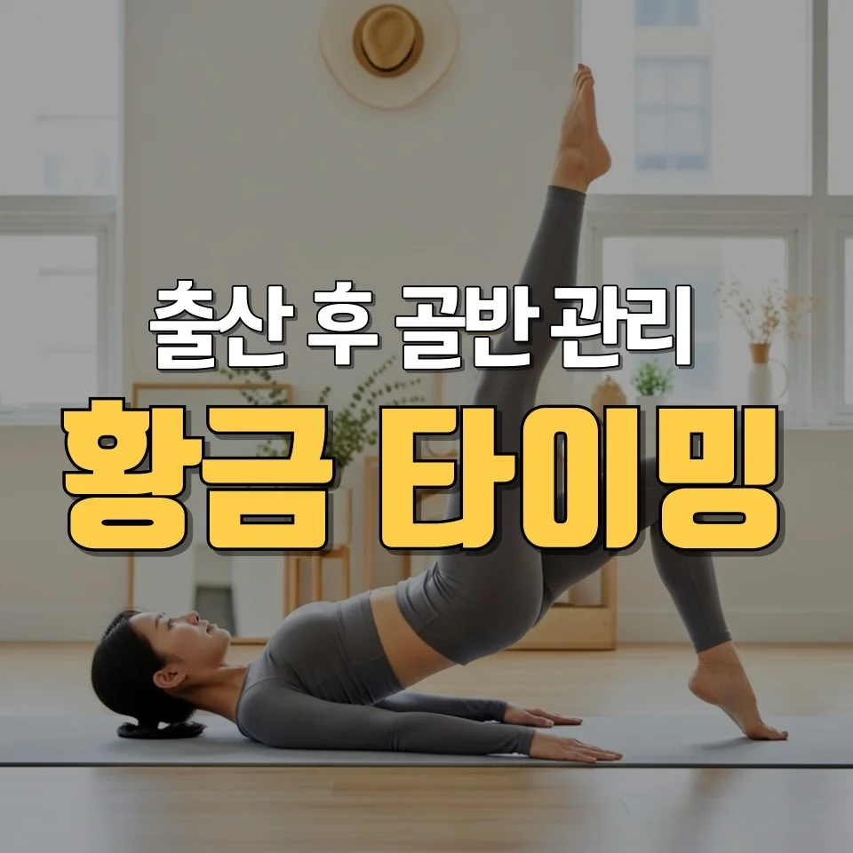 포트폴리오 메인이미지