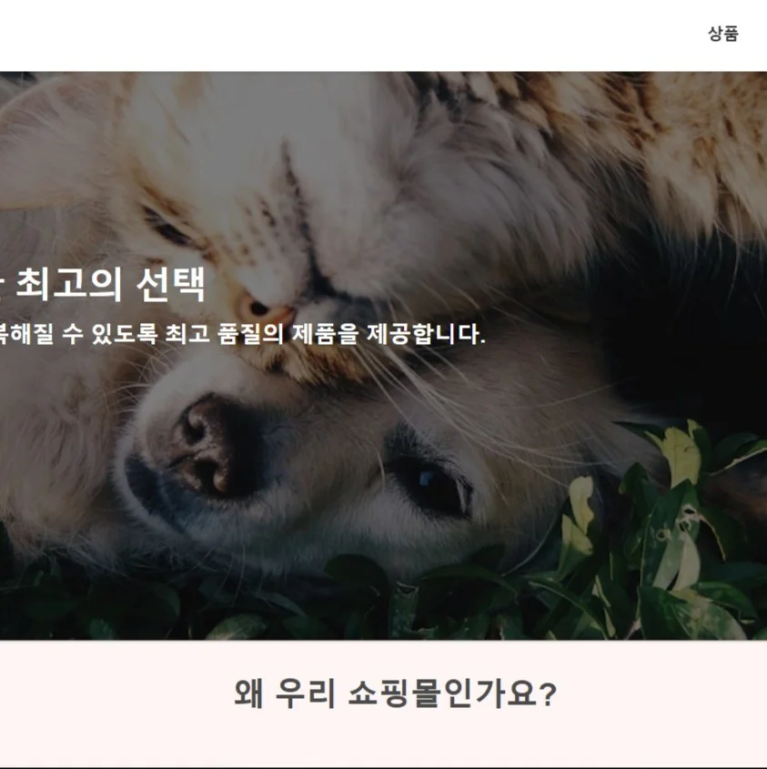 포트폴리오 메인이미지