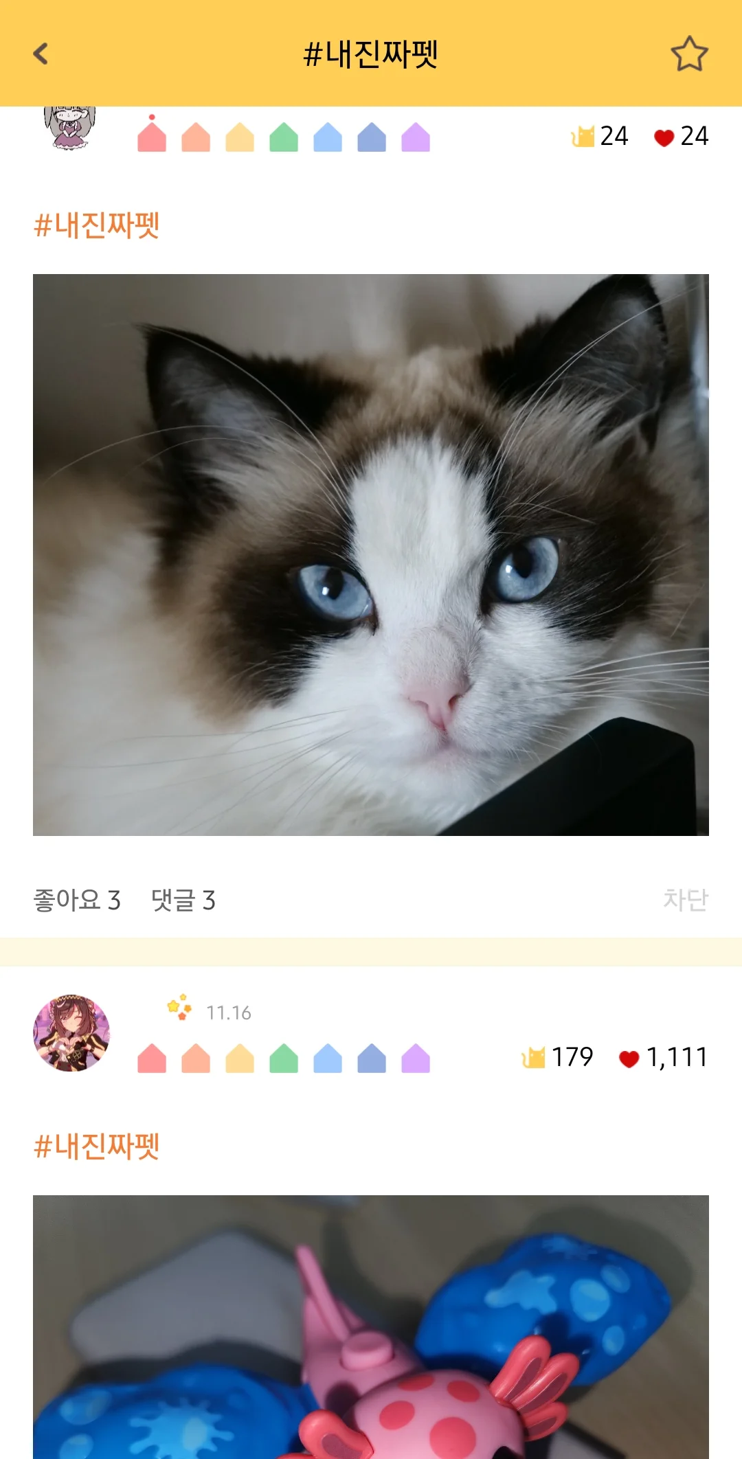 디자인 포트폴리오