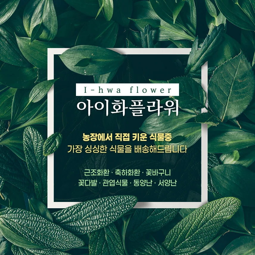 디자인 포트폴리오