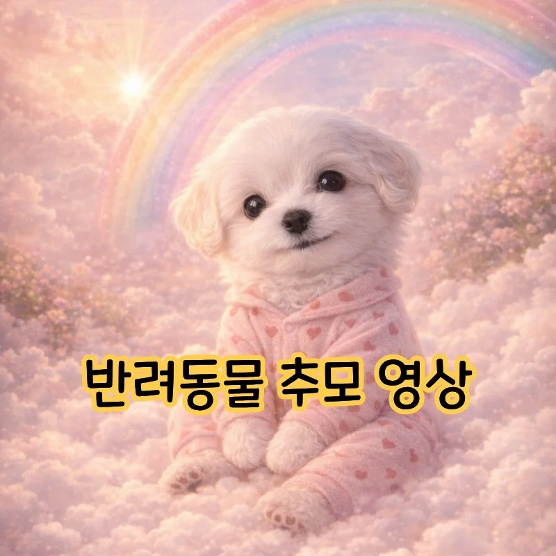 포트폴리오 메인이미지