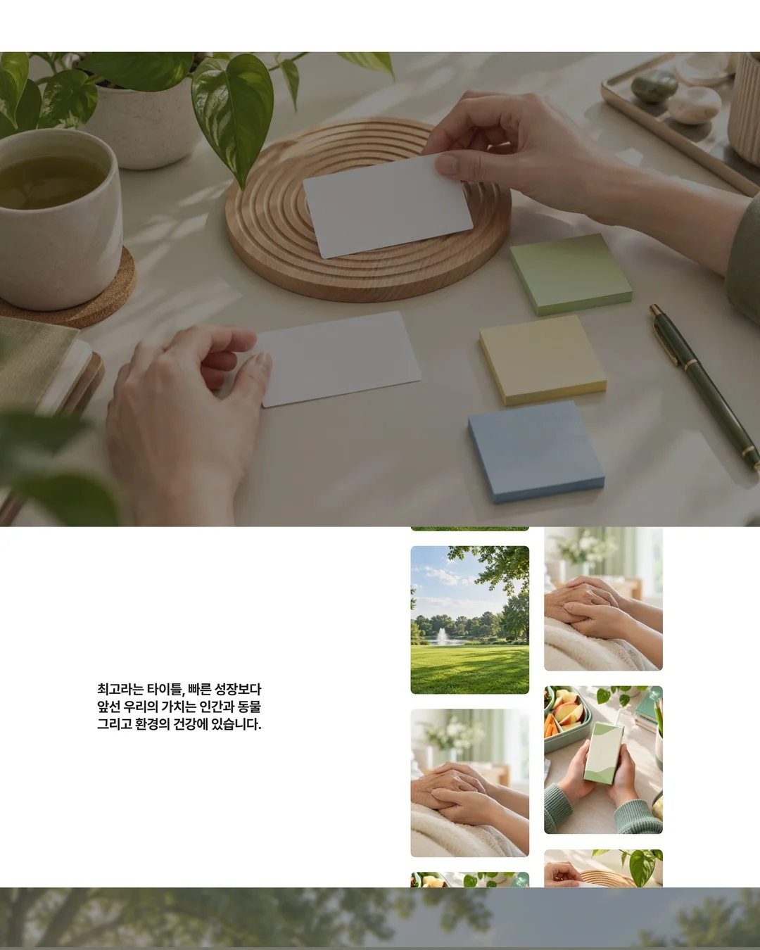 디자인 포트폴리오