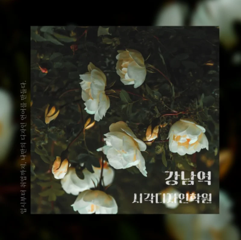 디자인 포트폴리오