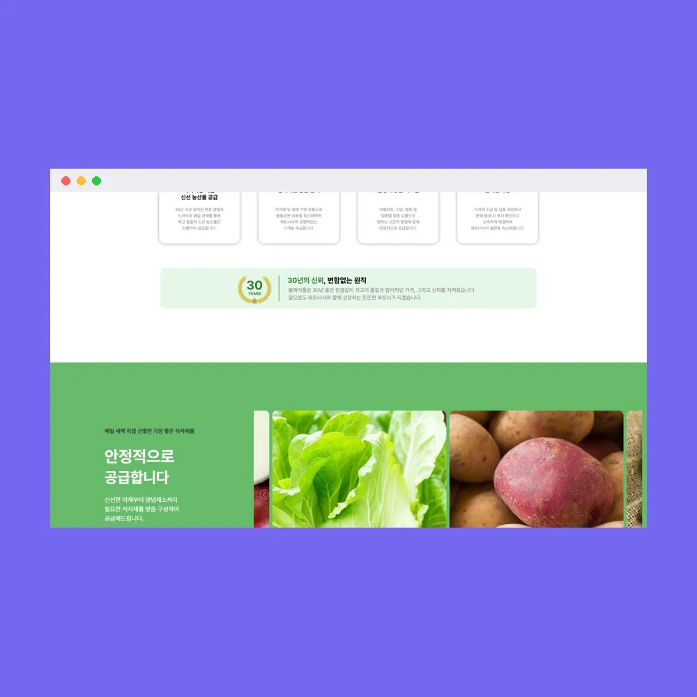 디자인 포트폴리오