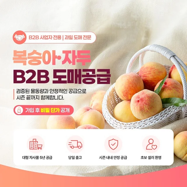 인기 포트폴리오-도매업체 카드뉴스