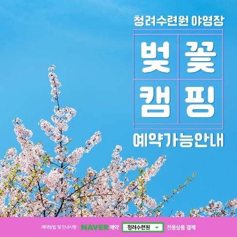 포트폴리오-야영장 sns광고