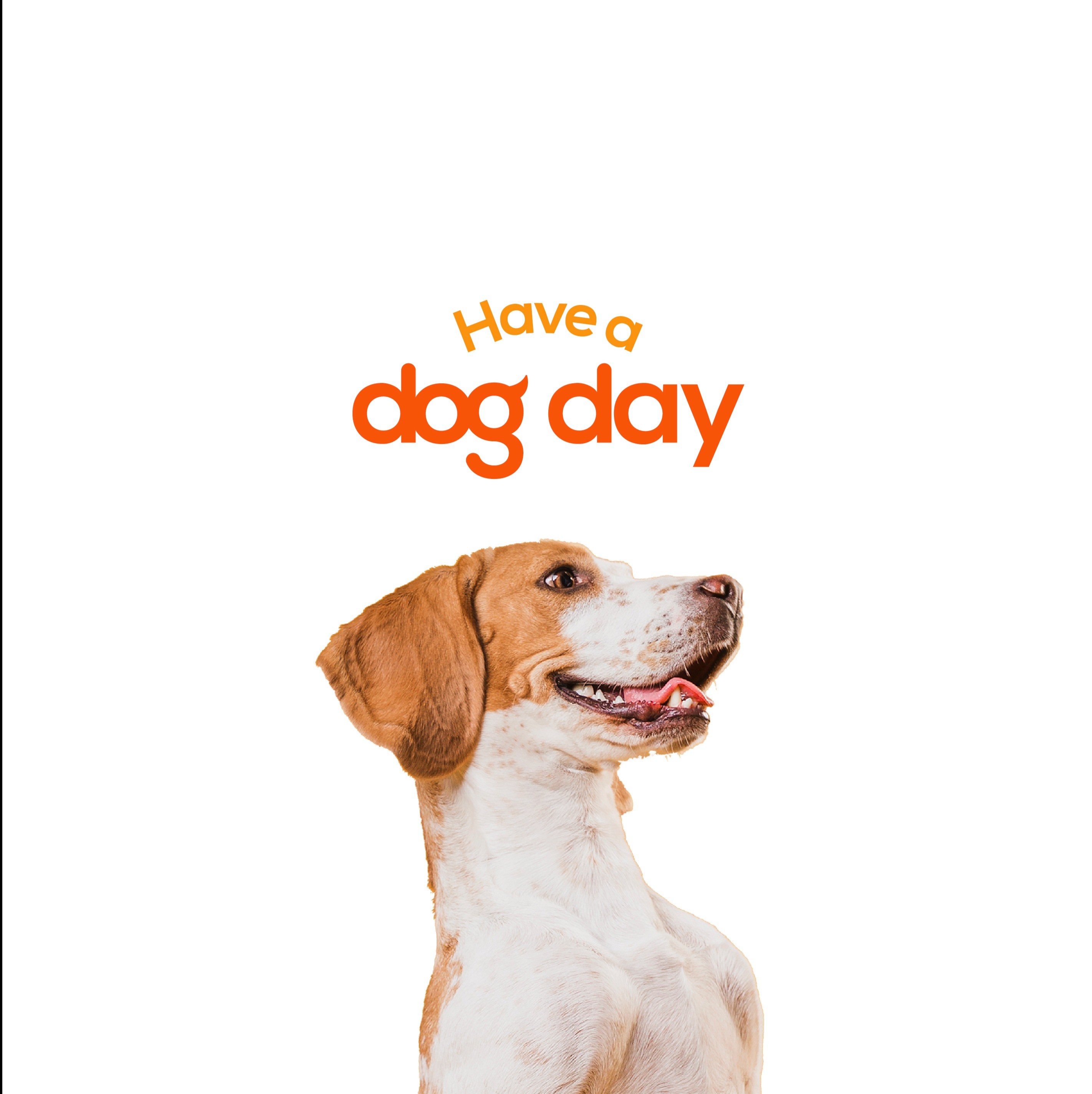 HAVE A DOG DAY, 로고 디자인 포트폴리오 크몽