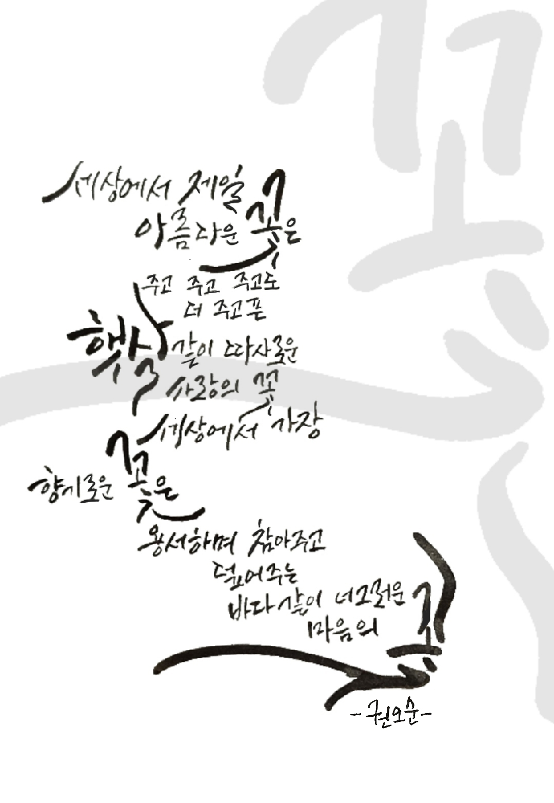디자인 포트폴리오
