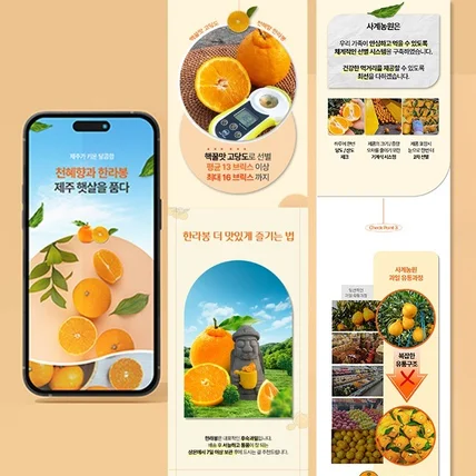 포트폴리오-사계농원 천혜향 한라봉