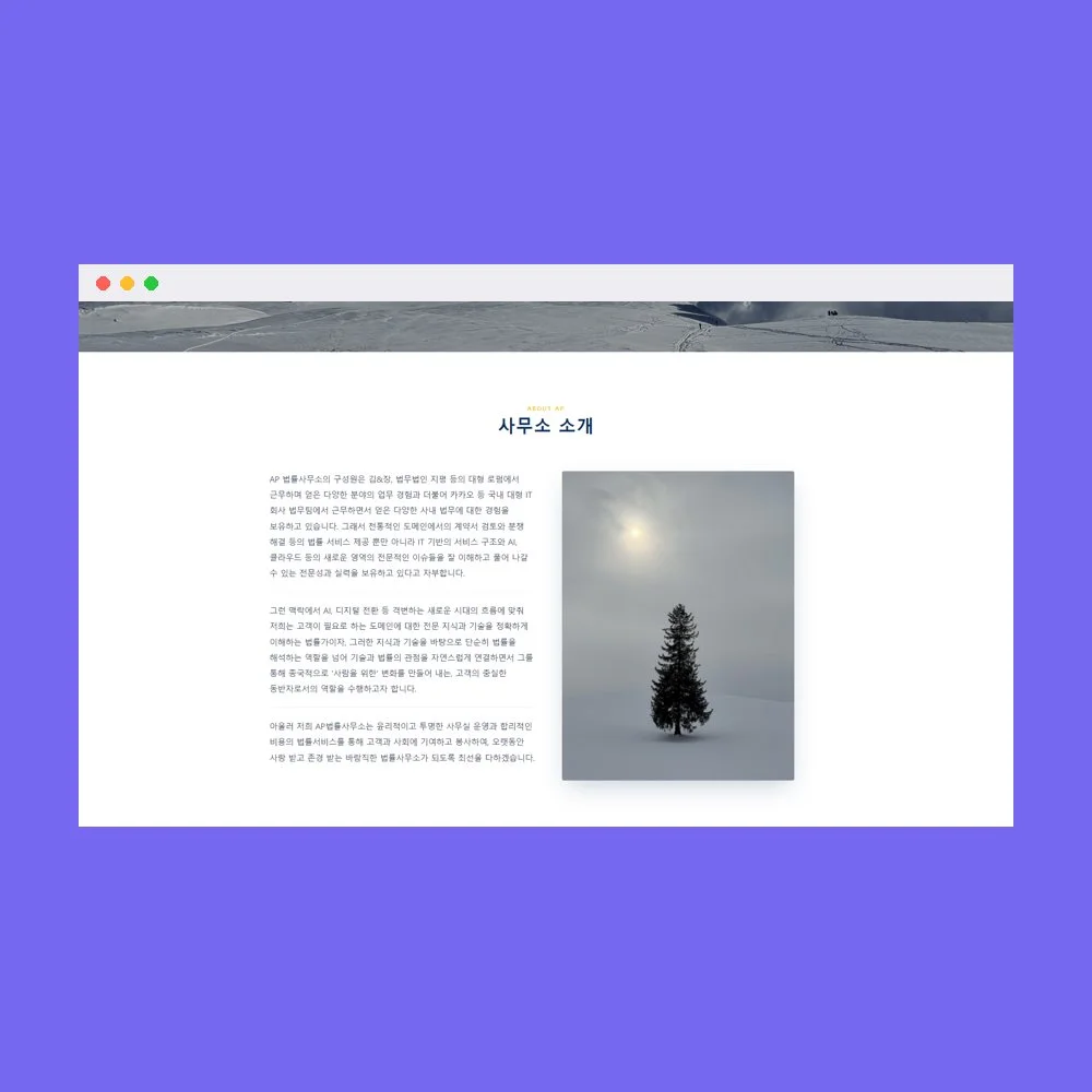 디자인 포트폴리오
