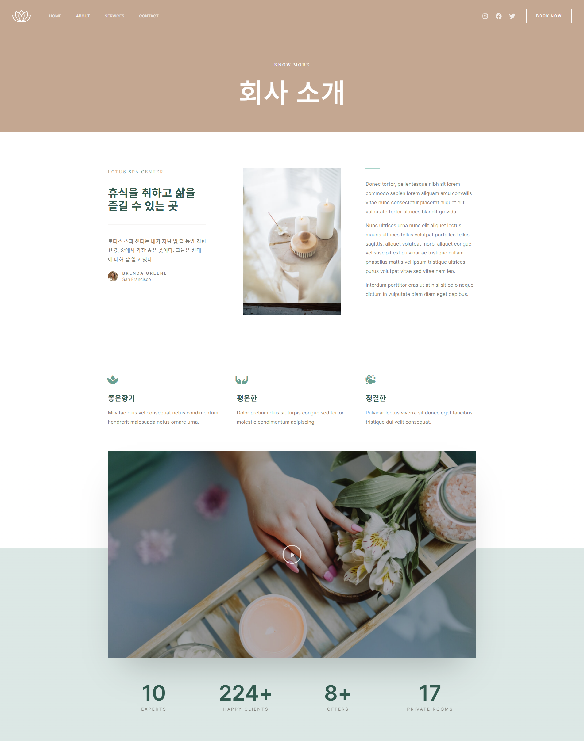 디자인 포트폴리오