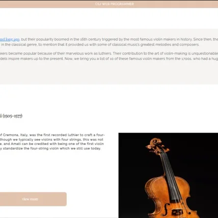 포트폴리오-VIOLIN_MAKER(https://csj-violin.netlify.app/)