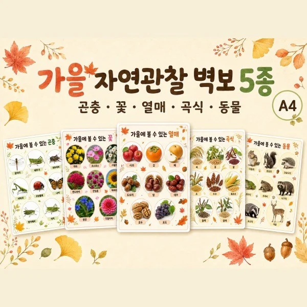 포트폴리오 메인이미지