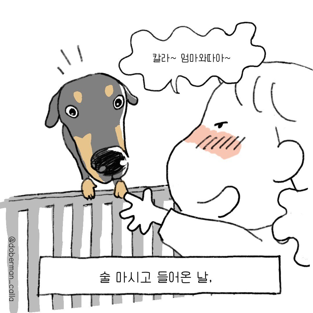 포트폴리오-<도베르만 칼라> 인스타툰 제작