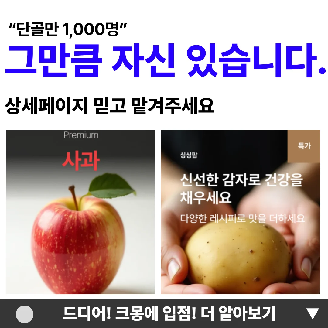 디자인 포트폴리오