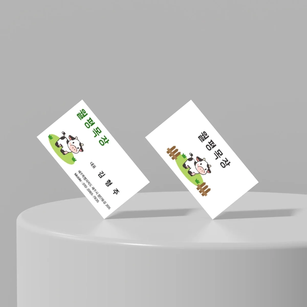 디자인 포트폴리오