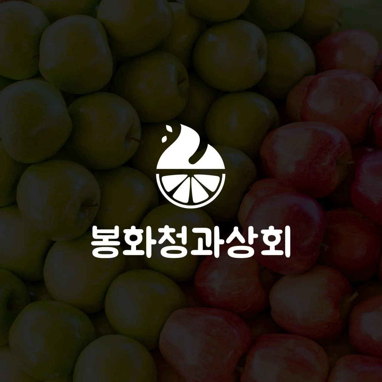 포트폴리오 메인이미지