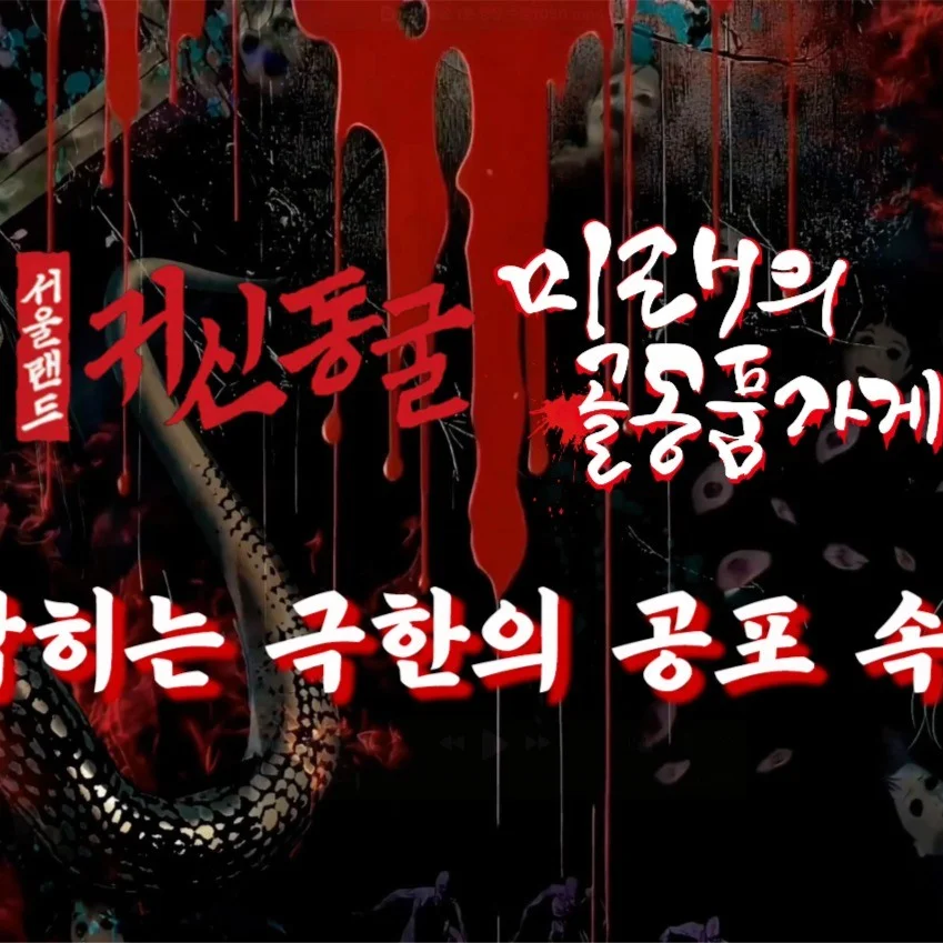 포트폴리오 메인이미지