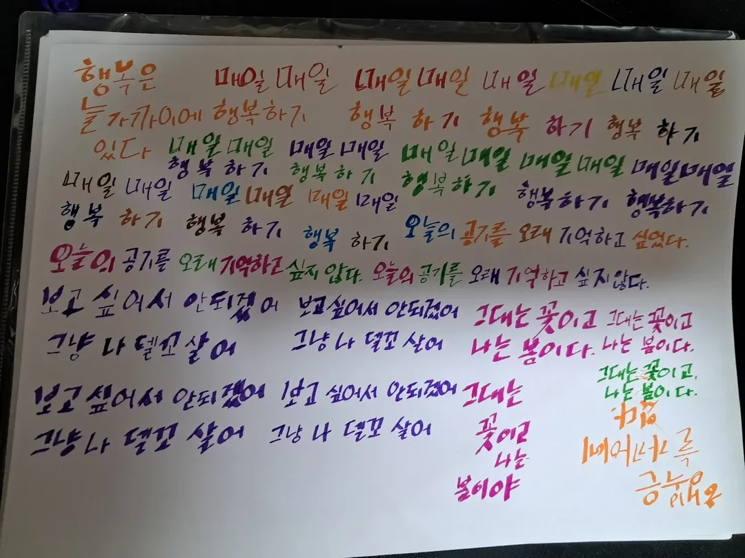 디자인 포트폴리오
