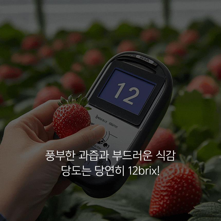 제이와이디자인랩 전문가의 포트폴리오 - 크몽
